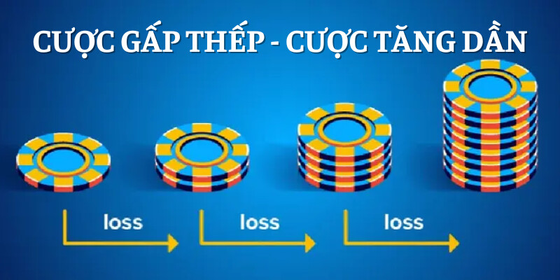 Mẹo Cược Gấp Thếp Cá Cược - Bí Kíp Tối Ưu Tiền Thưởng 2 Cược gấp thếp hay cược tăng dần