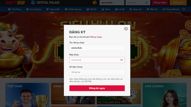 Trải nghiệm lần đầu khi chơi tại Net88 từ góc nhìn người mới 3 Đăng ký tài khoản đơn giản tại nhà cái Net88